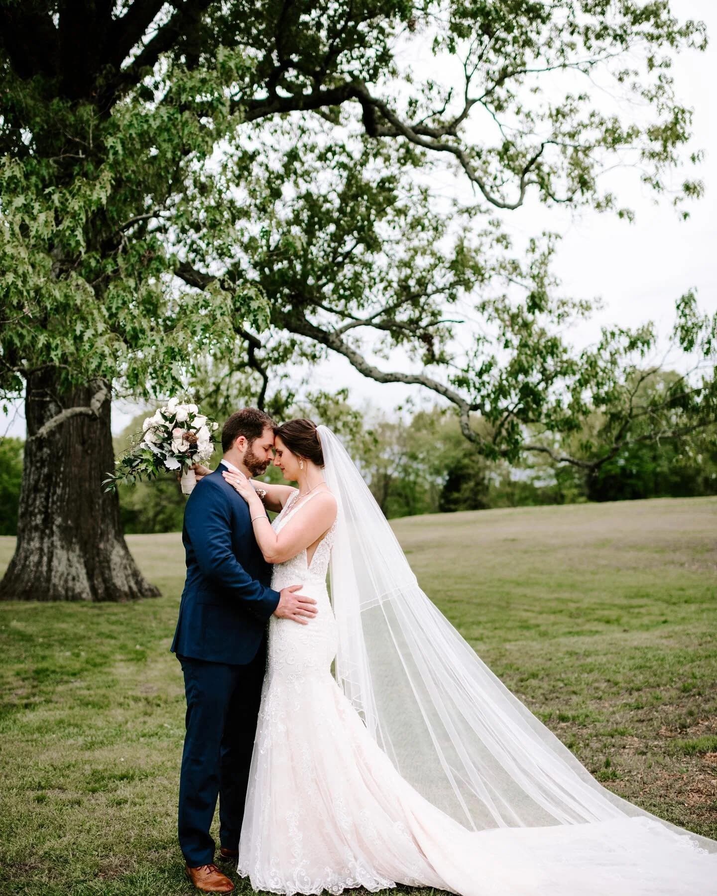 Couple embracing under an oak tree with veil trailing in the breeze